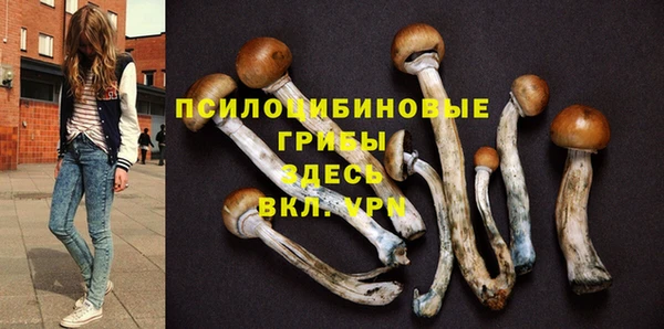 прущая мука Беломорск