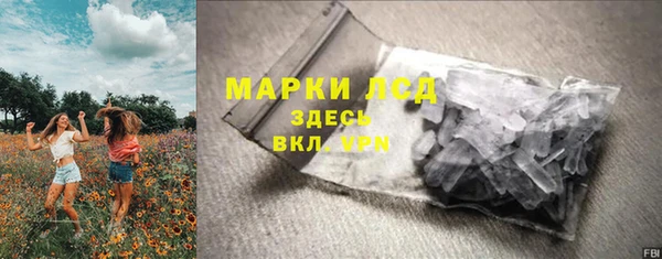 мяу мяу мука Баксан