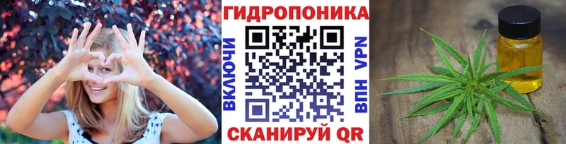 Конопля сатива  МЕГА   Валдай 